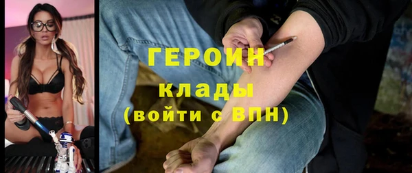 молекула духа Арсеньев