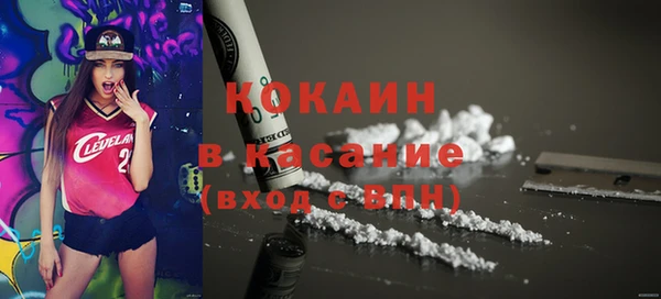 молекула духа Арсеньев