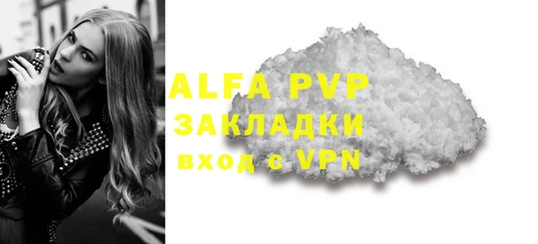 молекула духа Арсеньев