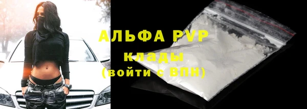 шишки Армянск