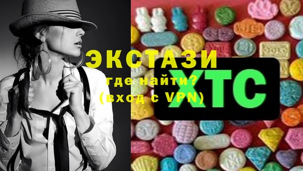 молекула духа Арсеньев
