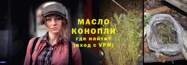 молекула духа Арсеньев
