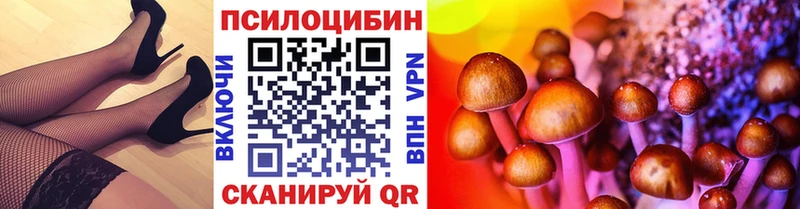 Псилоцибиновые грибы Psilocybine cubensis  как найти закладки  hydra ссылки  Гагарин 