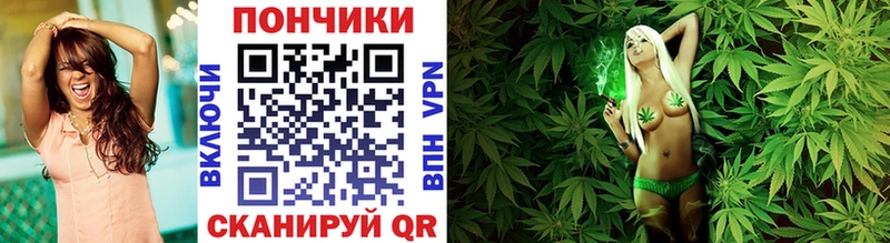 darknet состав  купить   Гагарин  Марихуана ГИДРОПОН 